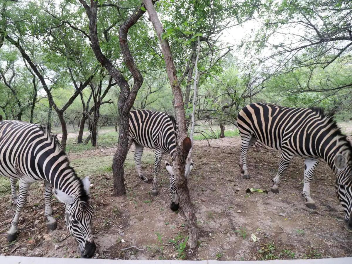 Chelesa By Kruger Nights Apartman Marloth Park Kültér fotó